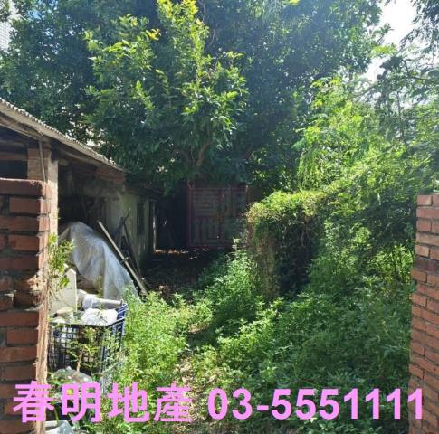 湖口建地-8