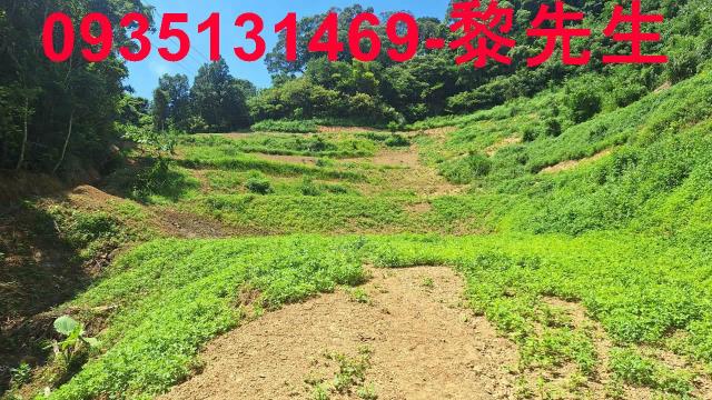 峨眉農地_林地-11