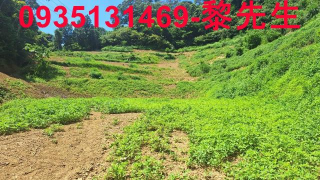 峨眉農地_林地-12