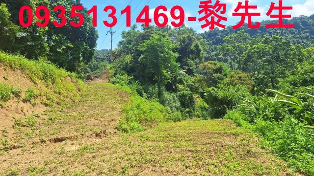 峨眉農地_林地-14