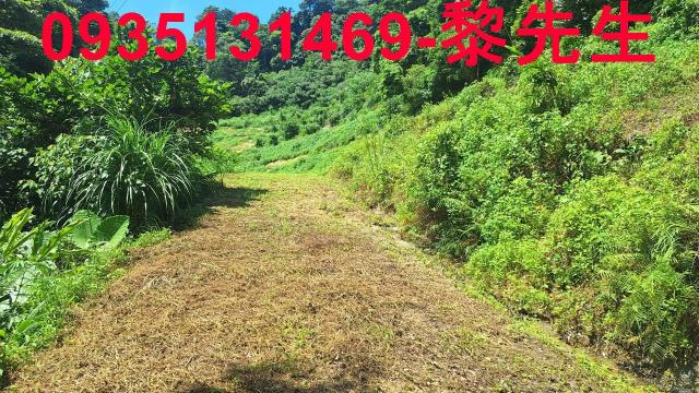 峨眉農地_林地-15
