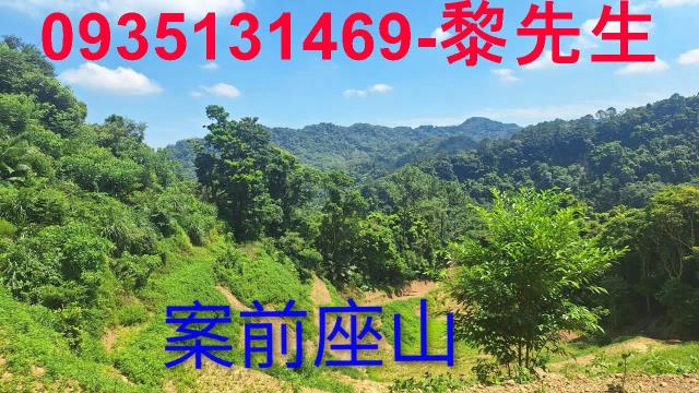 峨眉農地_林地-2
