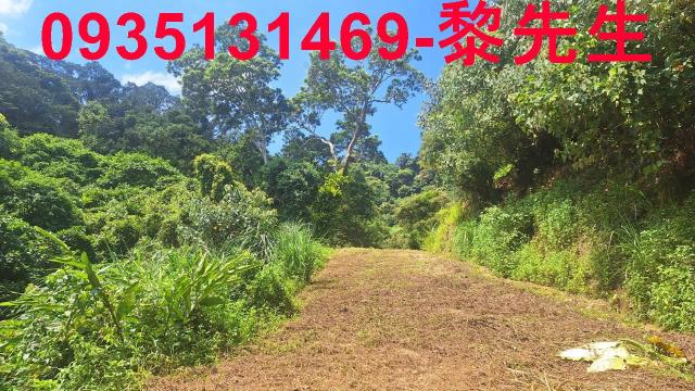 峨眉農地_林地-4