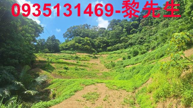 峨眉農地_林地-5