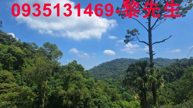 峨眉農地_林地-6