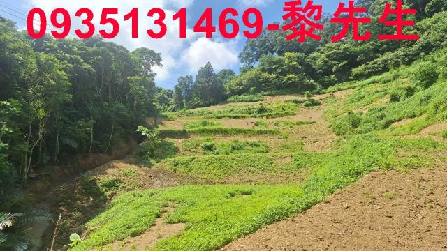 峨眉農地_林地-7