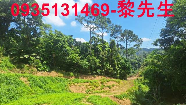 峨眉農地_林地-8