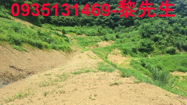 峨眉農地_林地-1