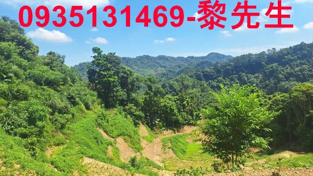 峨眉農地_林地-9