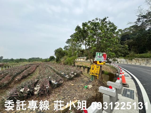 關廟農地-4