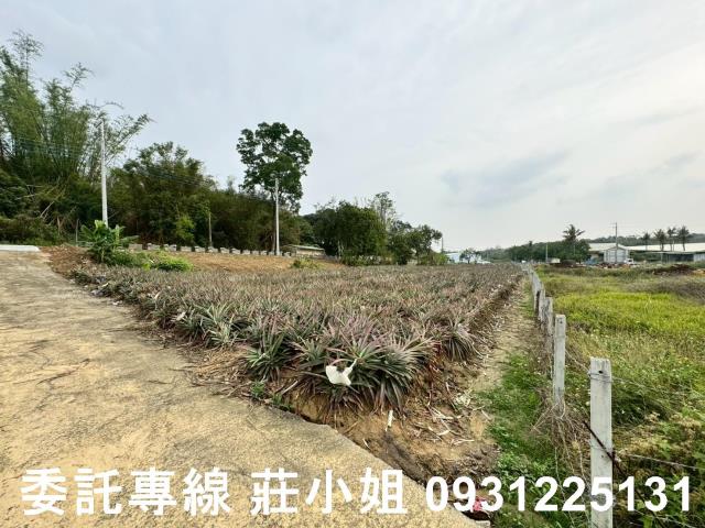 關廟農地-7