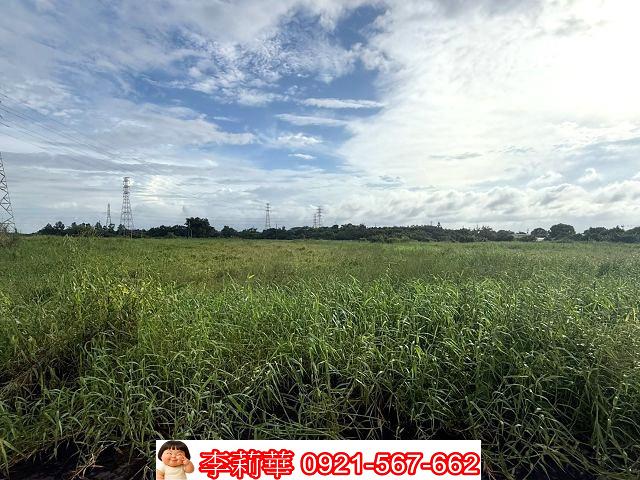 新化農地-9