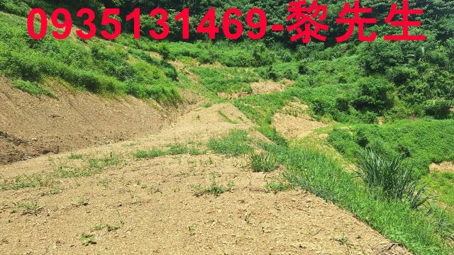 峨眉農地-12