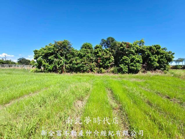 仁德農地-1