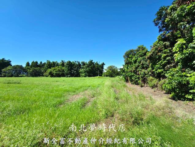 仁德農地-4