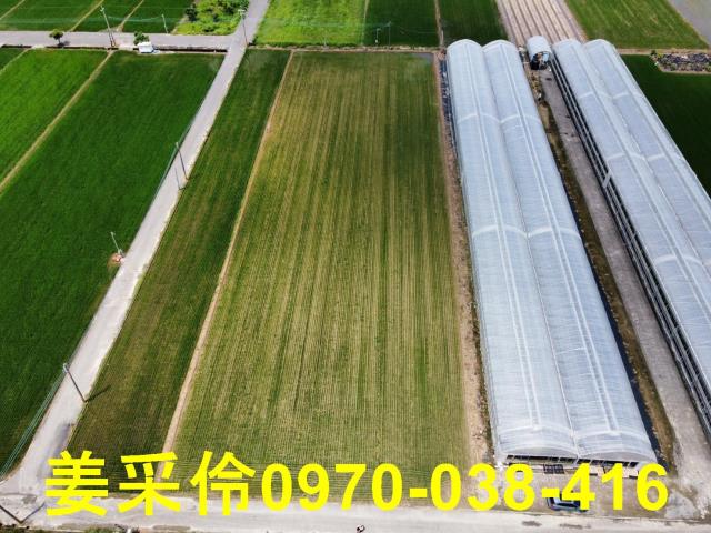 嘉義農地-5