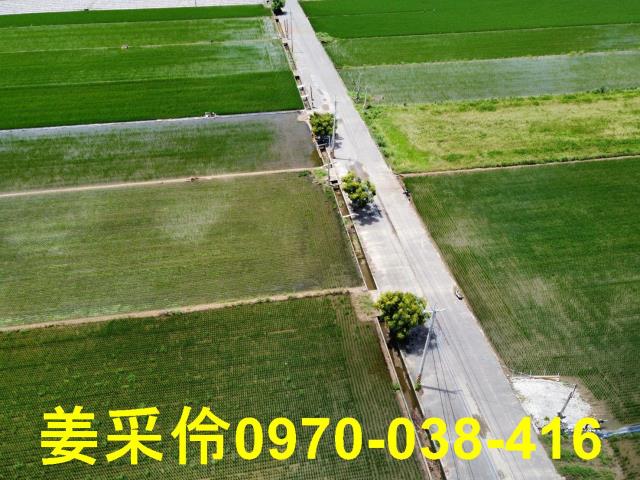 嘉義農地-8
