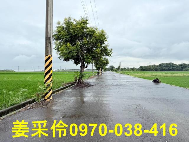 嘉義農地-5
