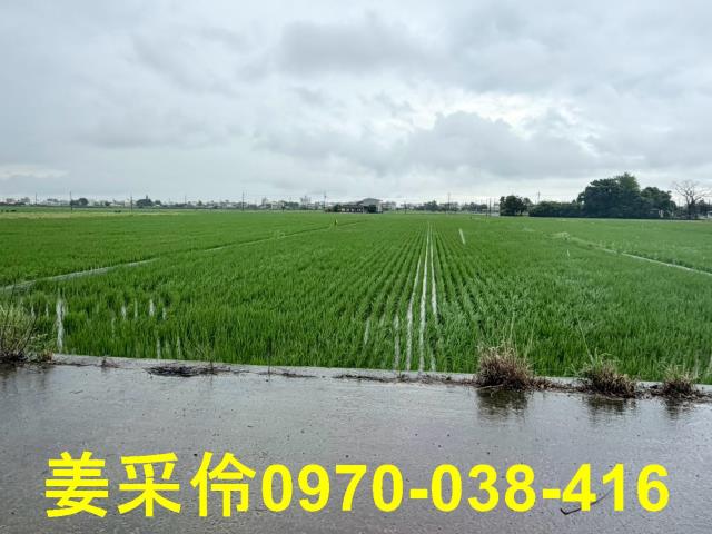 嘉義農地-6