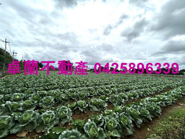 苗栗卓蘭農地-2