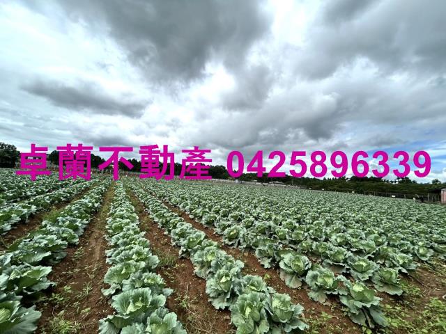 苗栗卓蘭農地-6