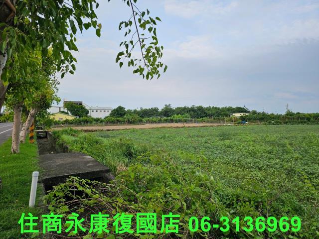 台南七股農地-6