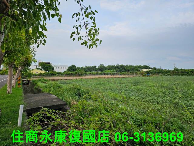 台南七股農地-6