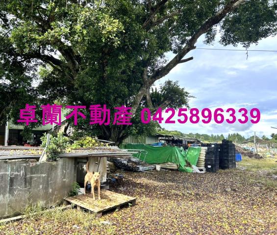 苗栗卓蘭農地-10