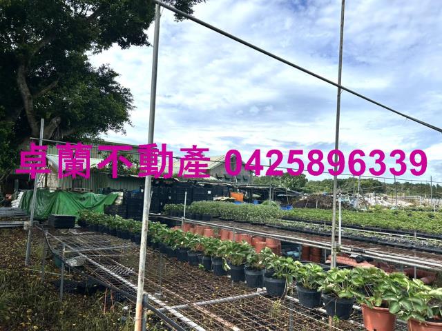 苗栗卓蘭農地-6
