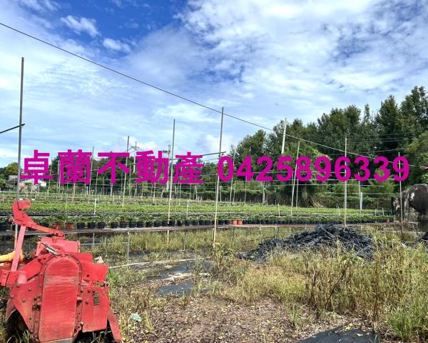 苗栗卓蘭農地-9