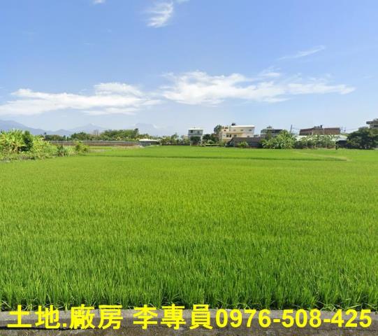 高雄美濃農地-2