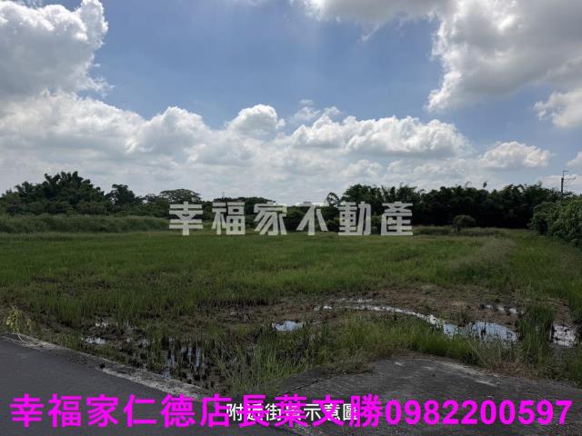 台南新市農地-10