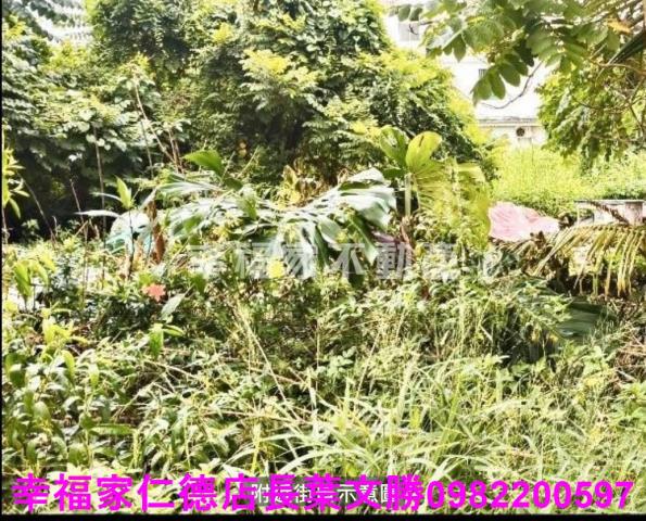 台南六甲建地-6