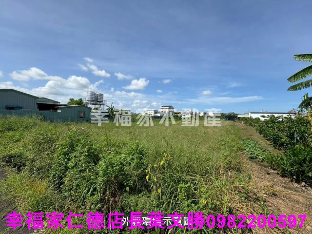 台南佳里農地-3
