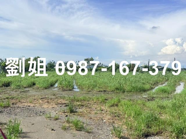 屏東市農地-2
