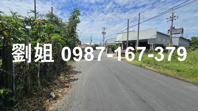 大社農地-1