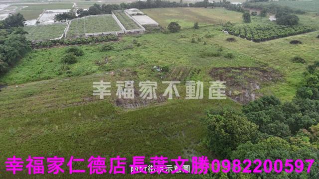 歸仁農地-3