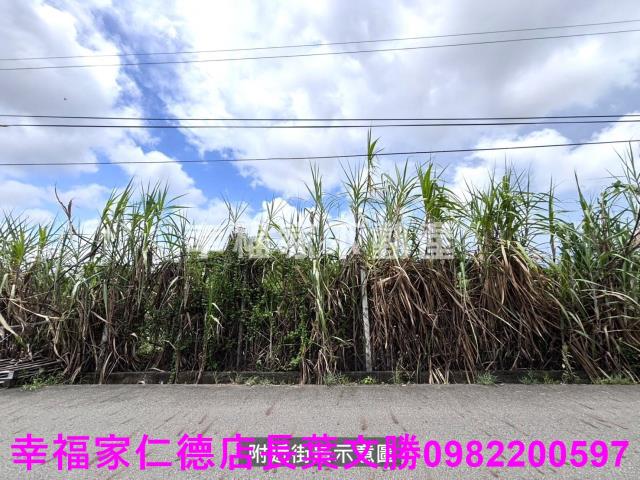 安定農地-11