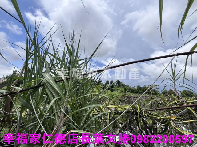 安定農地-2