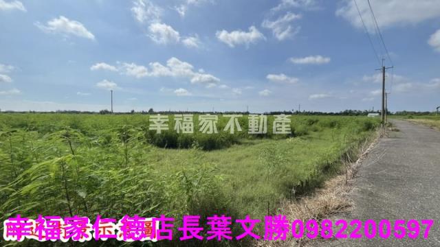 新市農地-15