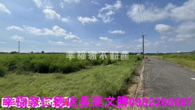 新市農地-8