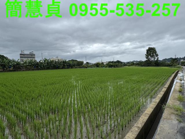 草屯農地-4