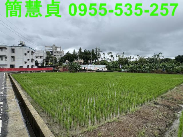 草屯農地-5