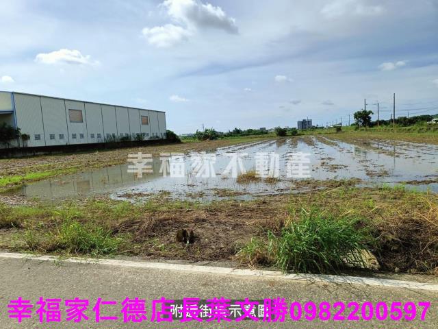 安定農地-15