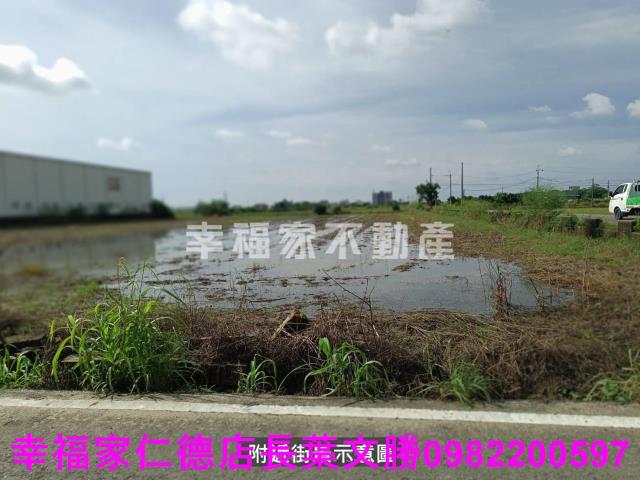安定農地-8