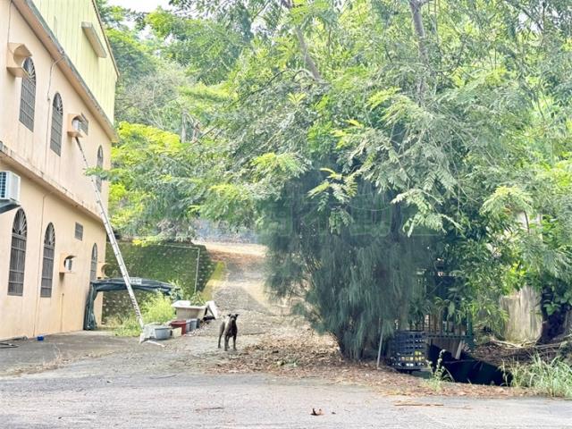 高雄農地-12