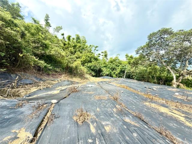 高雄農地-5
