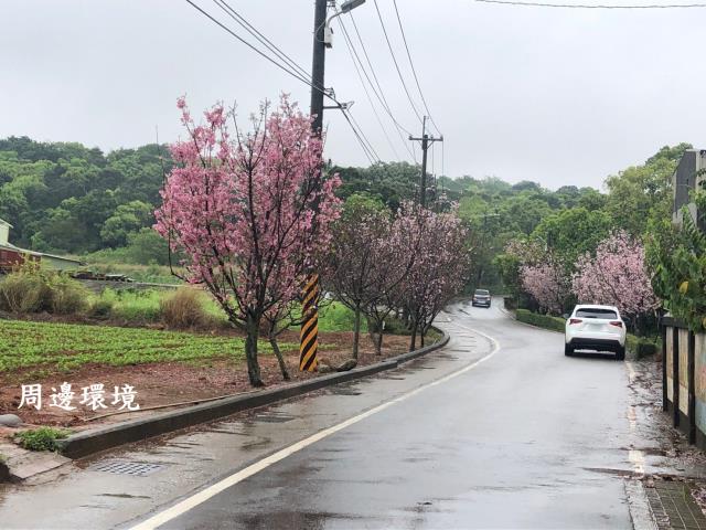 台中建地-5
