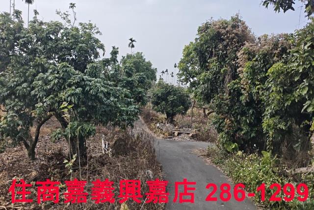 嘉義農地-2
