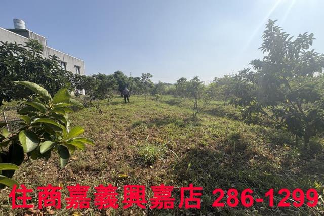 嘉義農地-2